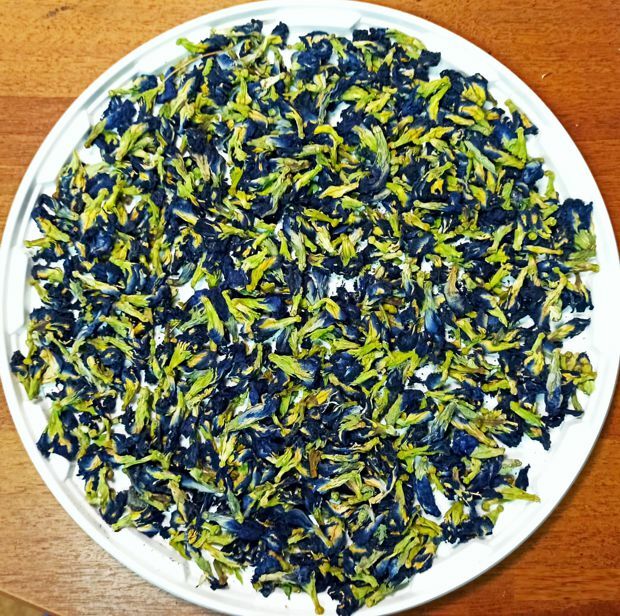 Ан Чан (синий чай)